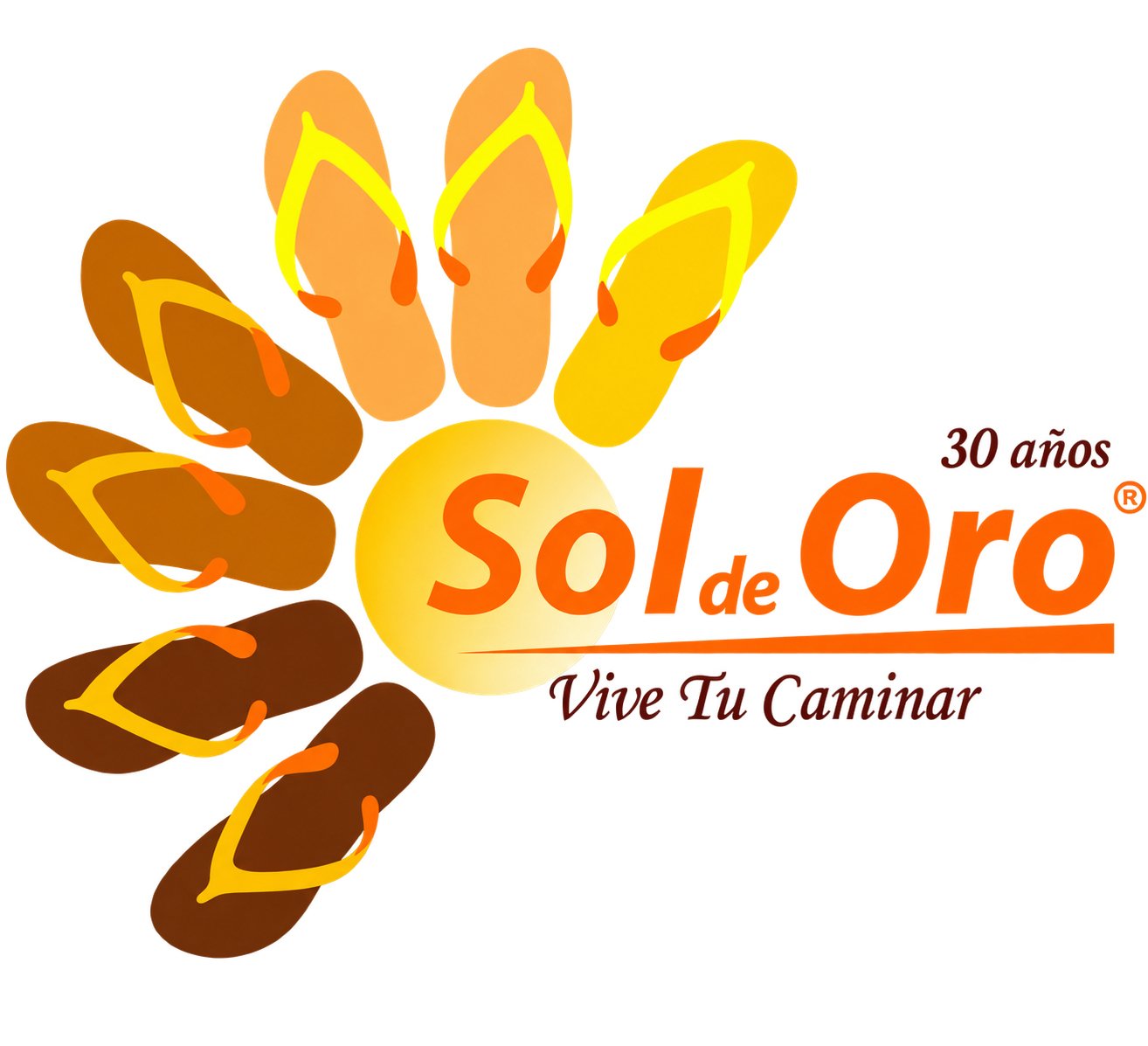 Sol de Oro S.A.S. — Vive Tu Caminar